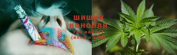 прущие грибы Покровск