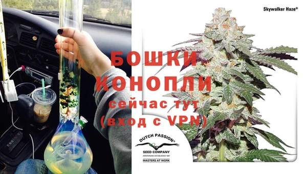 прущие грибы Покровск