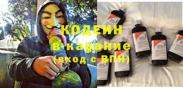 прущие грибы Покровск