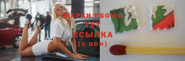 прущие грибы Покровск