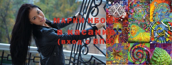 прущие грибы Покровск